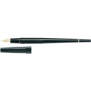 現在希少！新品 パイロット 万年筆 ルシーナ イエロー 細字 FL-5SR-YF Amazon | パイロット 万年筆 ルシーナ FL-5SR-Y-F 細字 イエロー