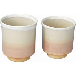 仏教DVD】 曹洞宗の修行生活 - 僧堂安居の基礎知識2（DVD） : お経