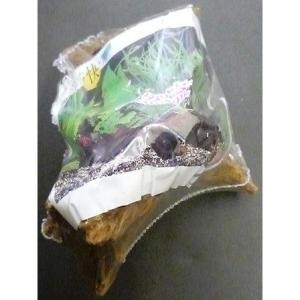 日本の魚 いなばペットフード 日本の魚さば まぐろ・かつお入り 170g