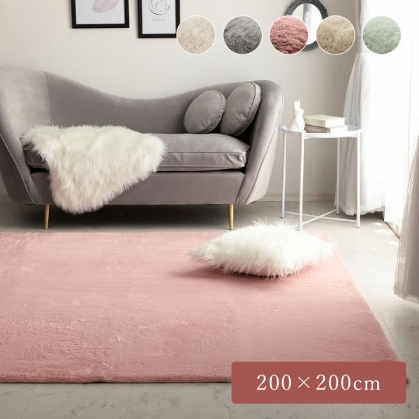 ラグ 絨毯 200×200cm 正方形 2畳 2帖 ラピアス ラグマット ホットカーペット対応 床暖...