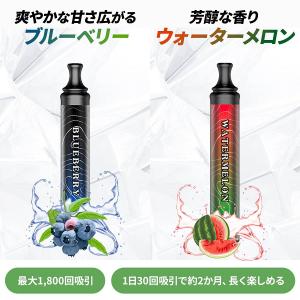 正規販売店 禁煙グッズ シーシャ 自宅 持ち運...の詳細画像4