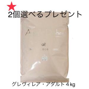 アーガイルディッシュ正規販売店　グレヴィレアアダルト4kg アレルギーにも　新賞味期限8月末