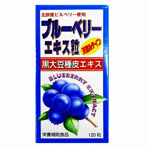 健美舎ブルーベリーエキス粒 インルテインα 120粒入※軽減税率対象