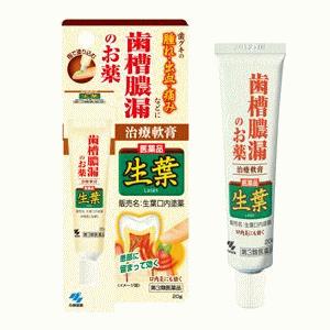 小林製薬生葉口内塗薬 ２０ｇ 【第３類医薬品】