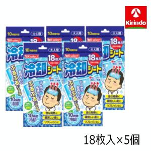 冷却シート500枚 ノベルティ、販促品、粗品、景品用としてオススメな冷却シート 2枚入