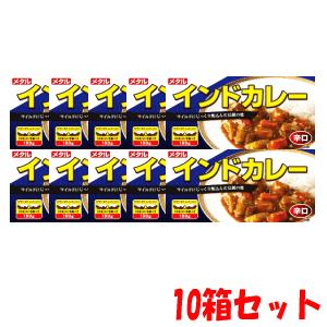 ポイント1倍 在庫のみ 10箱セット 大同 メタルインドカレー 辛口 180g×10個セット 賞味期限2024年5月21日まで｜kirindo