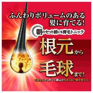 花王 サクセス 薬用 育毛 トニック ボリュー...の詳細画像1