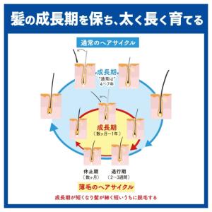花王 サクセス 薬用 育毛 トニック ボリュー...の詳細画像2