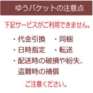 ゆうパケットで送料無料 花王 ソフィーナIPス...の詳細画像1