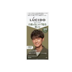 LUCIDO（ルシード） マンダム デザインヘアカラー 2B モダンブラウン