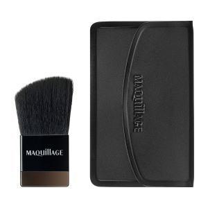 SHISEIDO（資生堂） アウスレーゼ ブリランチンN ポマード 80g : フジ