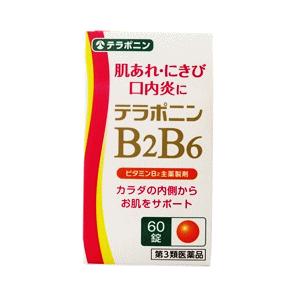 米田薬品工業 テラポニン BB錠 60錠