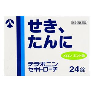 日新薬品工業 セキトロ−チ テラポニン 24錠