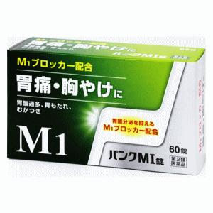 【第2類医薬品】小林薬品工業 パンクMI錠 60錠 ★セルフメディケーション税制対象商品 AJD オ...
