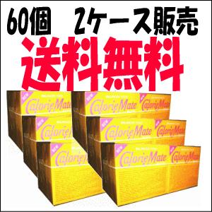 2ケース販売 送料無料 60個セット大塚製薬 カロリーメイト メープル味 ブロック ４本入り×60個...