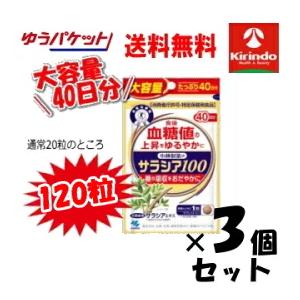 小林製薬 - 【大容量】小林製薬サラシア100 40日分×3袋 120日分 小林製薬 サラシア100 約40日分 120粒 大容量 : セラフィー