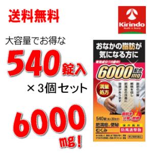 送料無料 3箱セット第2類医薬品北日本製薬 防風通聖散エキス6000 540錠 30日分 ×3個セット 90日分  6000mg  ★セルフメディケーション税制対象商品｜kirindo