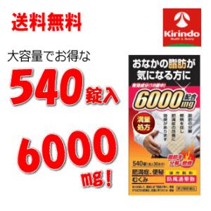 北日本製薬 防風通聖散エキス6000 540錠入 30日分×1個