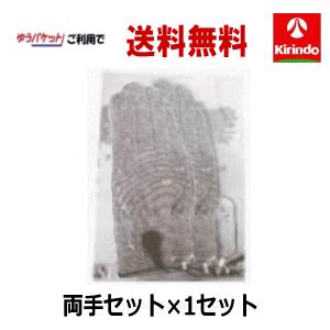 ゆうパケットで 送料無料 (株)テクノリード フロイデシリーズ共通 導体手袋セット×1セット(両手）