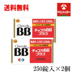 送料無料 2個セット【第3類医薬品】チョコラBBプラス 250錠入×2個 肌荒れ にきび 口内炎 ビ...