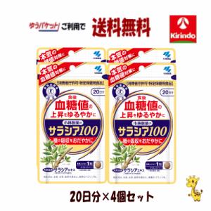 小林製薬 サラシア100 約20日分 60粒 : セラフィーネット Yahoo
