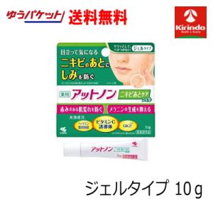 ゆうパケットで送料無料 薬用 小林製薬 アットノン ニキビあとケアジェル 10g×1個セット 【医薬...