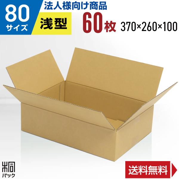 段ボール 洋服 衣類 ダンボール箱 80サイズ 浅型  国産 60枚 薄型 アパレル 宅配 通販 ゆ...
