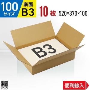 ダンボール箱100サイズ薄型(段ボール箱)10枚　便利線入り(外寸：520×370×100mm)(3ミリ厚)