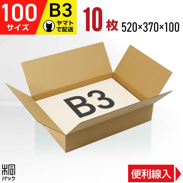 ダンボール箱100サイズ薄型(段ボール箱)10枚　便利線入り(外寸：520×370×100mm)(3...