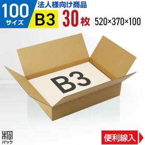桐パック ダンボール箱100サイズ薄型(段ボール箱)20枚 便利線入り(外寸