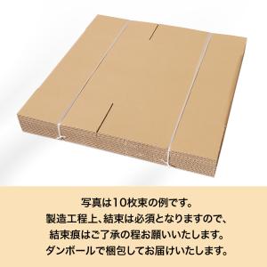 段ボール ダンボール箱 140サイズ 国産 1...の詳細画像5