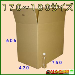 アースダンボール ダンボール 段ボール箱 200サイズ 引越 EMS 国際小包
