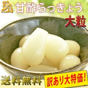 らっきょう 国産 オープン記念価格 漬物 訳あり大特価 甘酢らっきょう(大粒) 180g 2袋 送料無料 クリックポスト対応