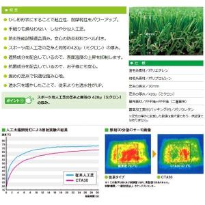 法人様限定サイズ クローバーターフ あそびタイ...の詳細画像1