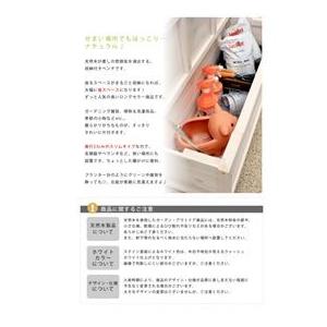 Sスタイル 木製収納庫 GBN-900BR 天...の詳細画像3