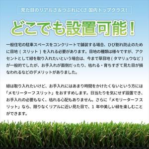 ユニオンビズ メモリーターフスリット 幅約55...の詳細画像3