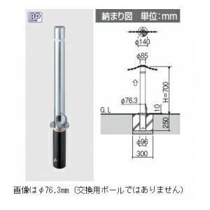 三協アルミ ビポールBP T-48TXN φ48mm 取り外し式 チェーン通過タイプ用交換ポール