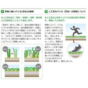 【法人様限定サイズ】クローバーターフ あそびタ...の詳細画像2