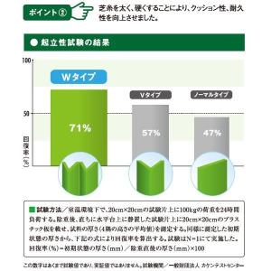 法人様限定サイズ クローバーターフ Wタイプ ...の詳細画像3