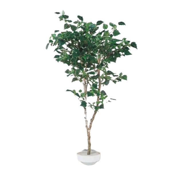 グローベン リフェイクグリーン 人工植物 樹木・屋内用 白樺（1本立） H1800 専用土台付き