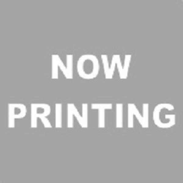 フェンス 目隠し LIXIL フェンスAB YS3型 T-8 切詰端部カバー H800 高さ80cm...