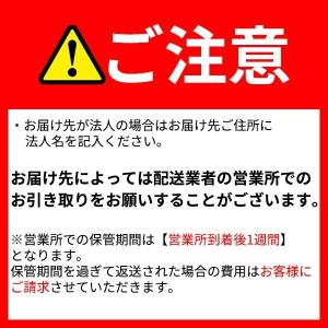 リーベ メタルシェッド 物置小屋 009 ダー...の詳細画像1