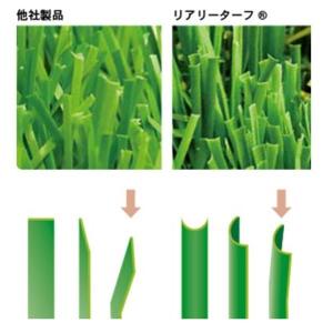 グリーンフィールド リアリーターフ ヨーロピア...の詳細画像1