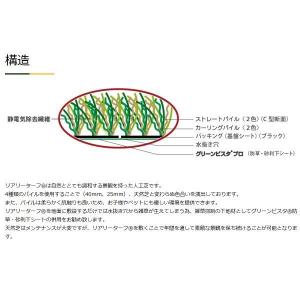 グリーンフィールド リアリーターフ ヨーロピア...の詳細画像2