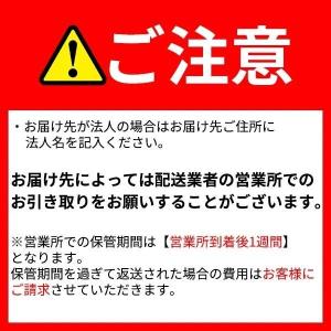 リーベ メタルシェッド 物置小屋 002 ダー...の詳細画像1