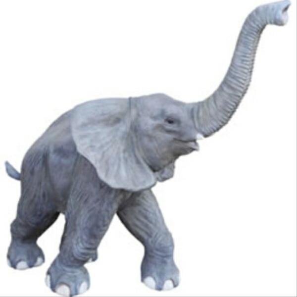 FRP　鼻を高く突き上げる子ゾウ / Walking BaBy Elephant　  fr09002...