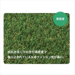 法人限定商品 個人宅配送不可 オンリーワン 人...の詳細画像1