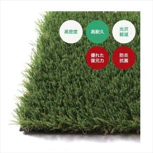 法人限定商品 個人宅配送不可　オンリーワン　人工芝　タイプ110　プロターフプレミアム　AN2-P1811　1m×10m リアル 芝生 ロール