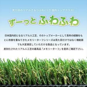 ユニオンビズ メモリーターフ 幅1m×長さ10...の詳細画像2
