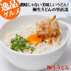 うどん 桐生うどん 半生麺 270g×3袋 めんつゆ付 お手軽セット  KT-3 多加水麺 ポイント消化